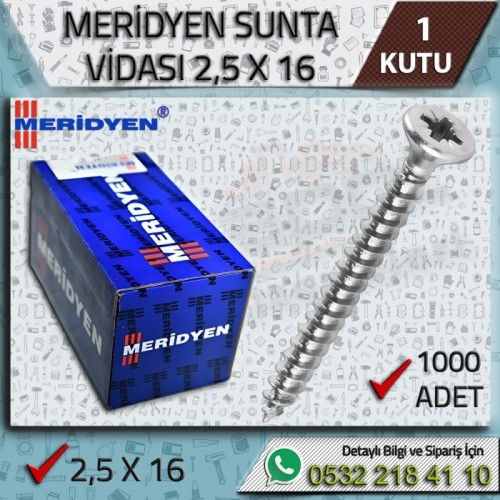 Meridyen Sunta Vidası (2,5x16 mm, 1.000 Adet)
