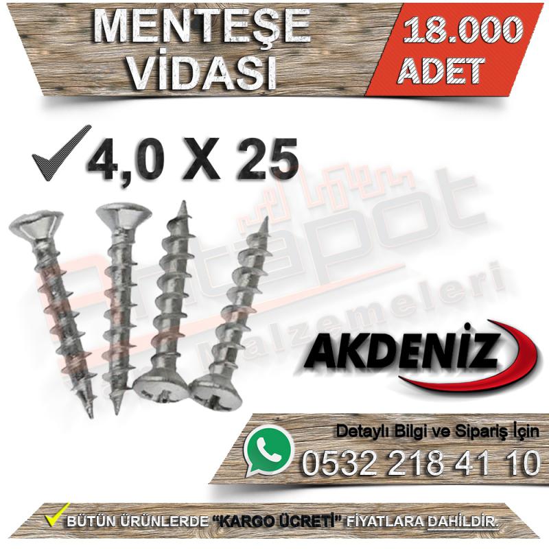 Akdeniz Menteşe Vidası 4.0X25 (18.000 Adet)