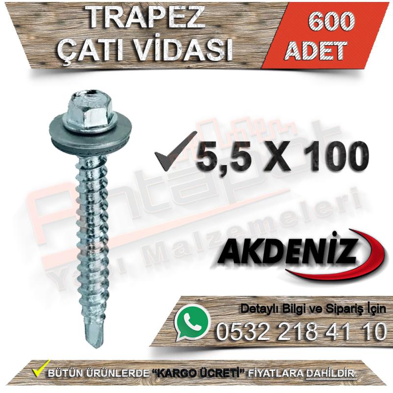 Akdeniz Trapez Çatı Vidası 5,5X100 (600 Adet) - Trapez Vidaları
