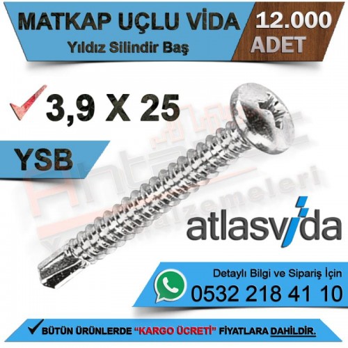 Atlas Matkap Uçlu Vida Ysb 3,9X25 (12.000 Adet)