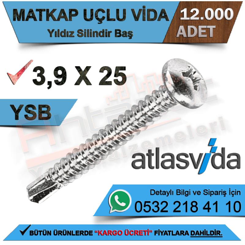 Atlas Matkap Uçlu Vida Ysb 3,9X25 (12.000 Adet) - Matkap Uçlu Ysb Vidalar