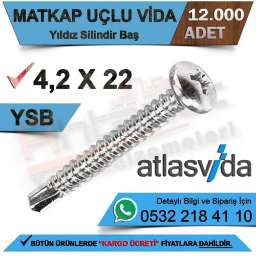 Atlas Matkap Uçlu Vida Ysb 4,2X22 (12.000 Adet)