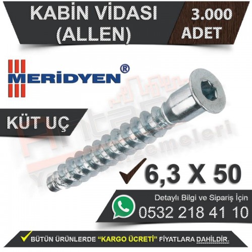 Meridyen Kabin Vidası 6.3X50 (Allen) Küt Uç (3.000 Adet)