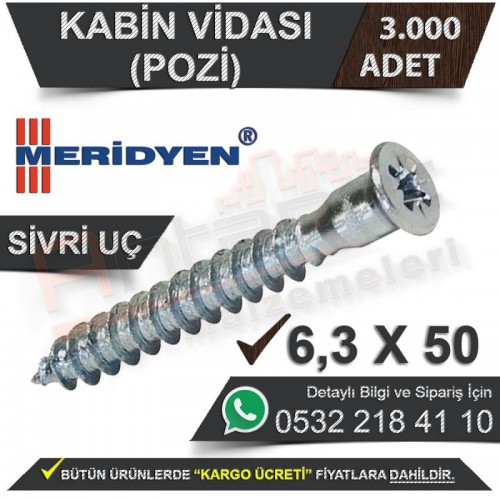 Meridyen Kabin Vidası 6.3X50 (Pozi) Sivri Uç (3.000 Adet)