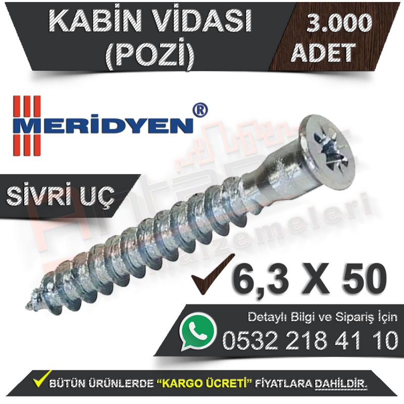 Meridyen Kabin Vidası 6.3X50 (Pozi) Sivri Uç (3.000 Adet)