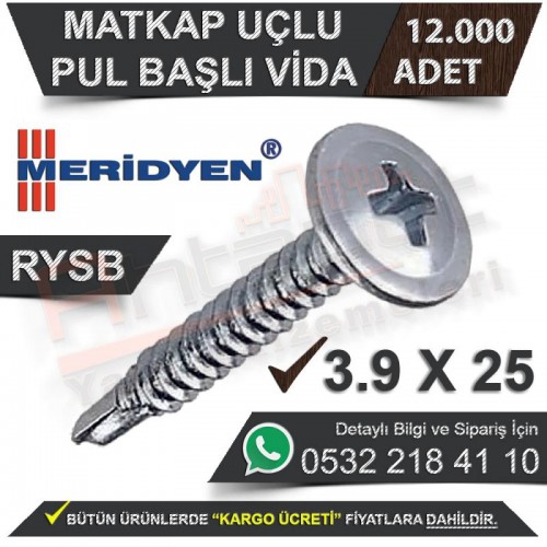 Meridyen Matkap Uçlu Vida Pul Başlı Rysb 3,9X25 (12.000 Adet)