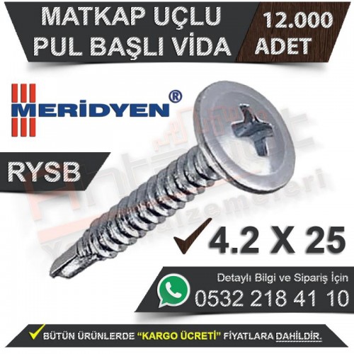 Meridyen Matkap Uçlu Vida Pul Başlı Rysb 4,2X25 (12.000 Adet)