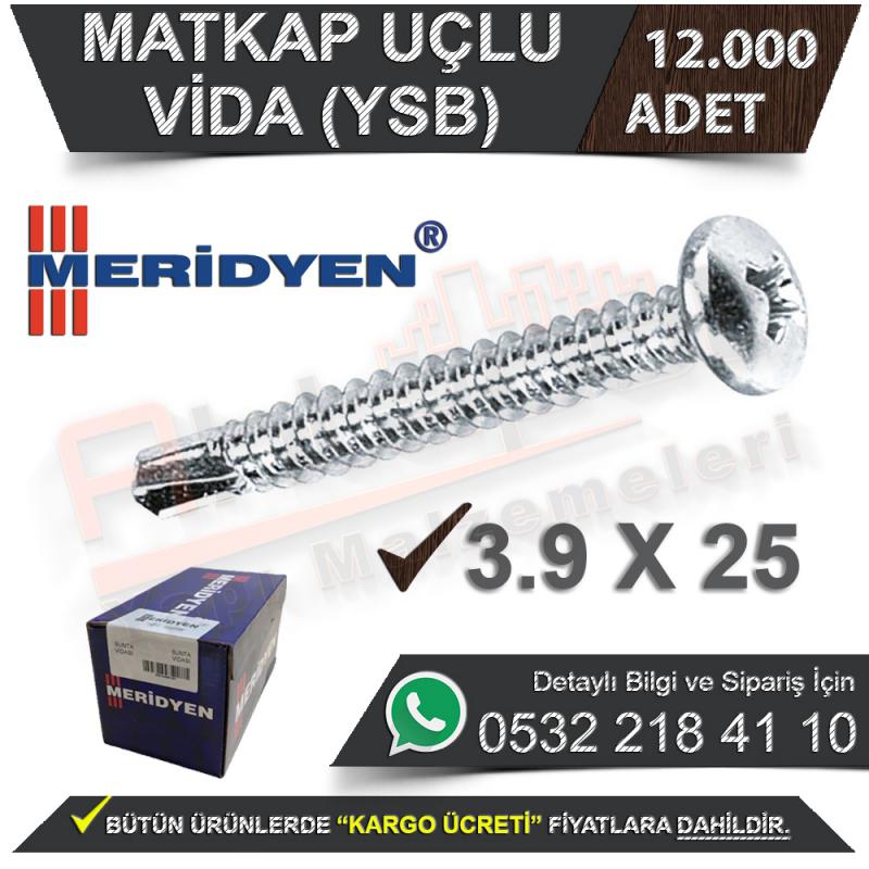 Meridyen Matkap Uçlu Vida Ysb 3,9X25 (12.000 Adet) - Matkap Uçlu Ysb Vidalar