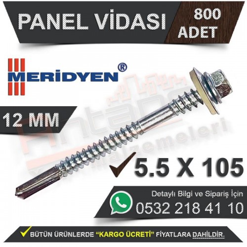 Meridyen Panel Vidası 12 Mm 5,5X105 (800 Adet)