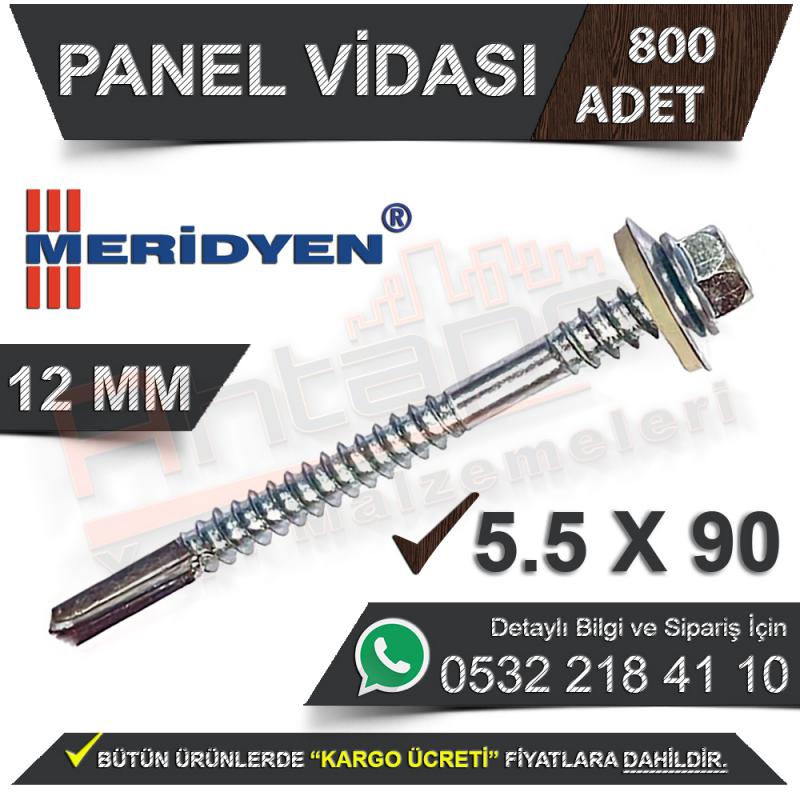 Meridyen Panel Vidası 12 Mm 5,5X90 (800 Adet)