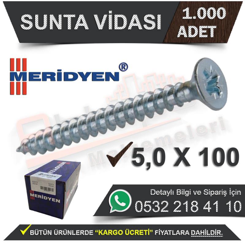 Meridyen Sunta Vidası 5.0X100 (1.000 Adet)