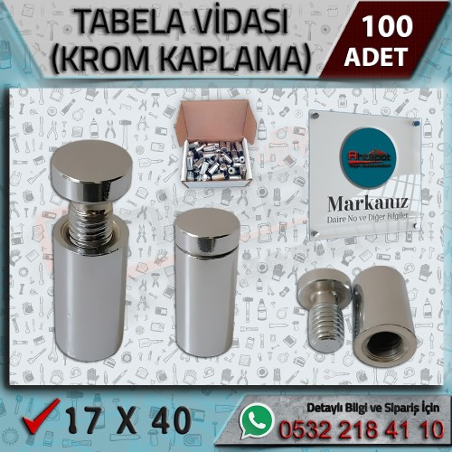 Tabela Vidası 17x40 mm (Pleksi Tutucu) – 100 Adet