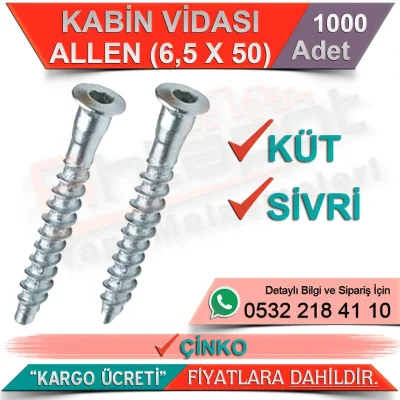 Kabin Vidası Allen Sivri 6,5x50 Çinko (1000 Adet)