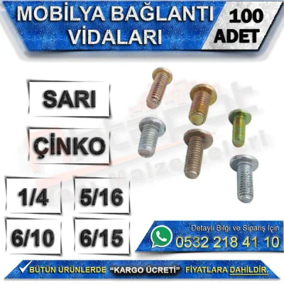 Mobilya Bağlantı Vidaları (100 Adet)