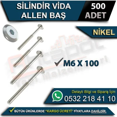 Silindir Vida Allen Baş M6x100 Nikel (500 Adet)