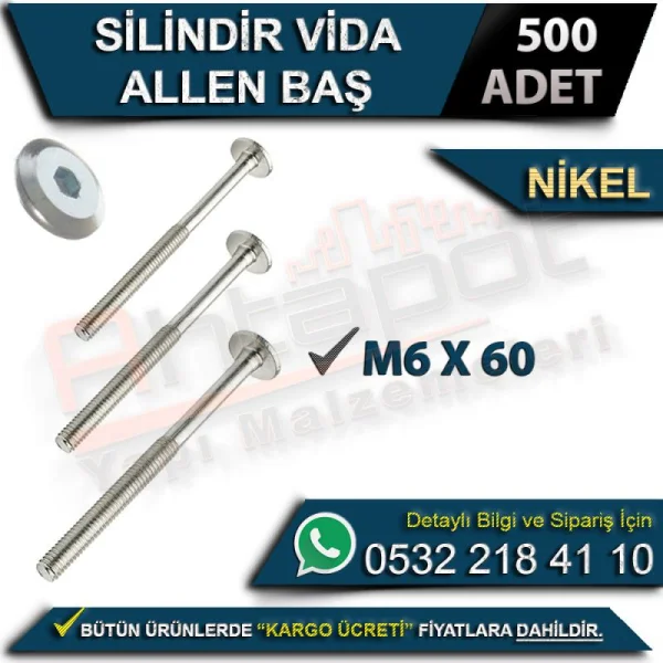 Cylinder Screw Allen Head M6x60 Nickel (500 Pieces) - Hardware Varieti Cylinder Screw Allen Head M6x60 Nickel (500 Pieces) | Hardware Varieties