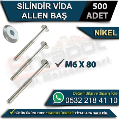Cylinder Screw Allen Head M6x80 Nickel (500 Pieces)
