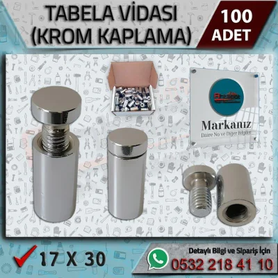 Pleksi Tutucu Tabela Vidası 17x30 (100 Adet)